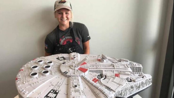 Het is bijna niet te geloven dat dit allemaal echte taarten zijn