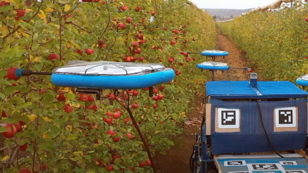 Bruut: high-tech drone zoemt door boomgaard en plukt alleen de appels die rijp zijn