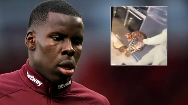 West Ham-speler Kurt Zouma biedt excuses aan nadat hij in een video een kat mishandelt