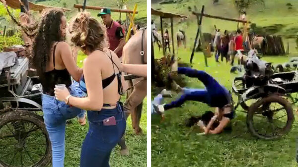 Paard is het zat en bezorgt feestende dansmariekes een faceplant én een schorpioen