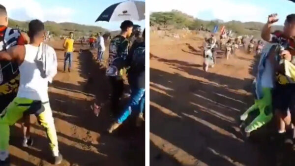 Ga aan de kant joh, achterlijke gladiool