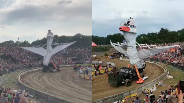 Enorme joekel-eend is de absolute eindbaas van de Zwarte Cross 2019