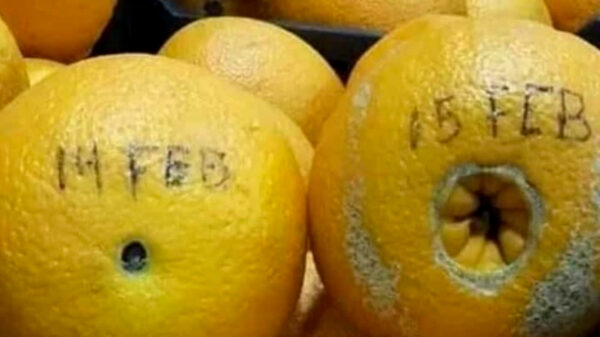 27 hilarische Valentijnsdag-memes om je vandaag toch nog een klein beetje liefde te geven