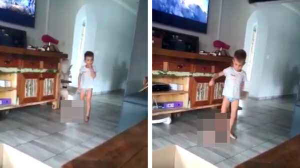 Koters trekken uit het nachtkastje van mama een vervanger voor de bottle flip