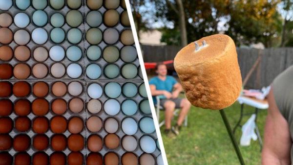 21 keer perfecte OCD-pics om te vieren dat het eindelijk weekend is!