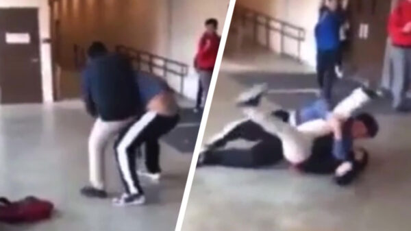 Pestkop krijgt keiharde karma van "slachtoffer" met prima worstelmoves