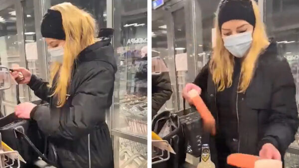 Winkeldievegge met heule diepe zakken op heterdaad betrapt