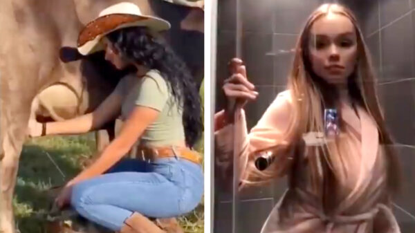 Heerlijke randomness in een nieuwe Coubcompilatie (154)