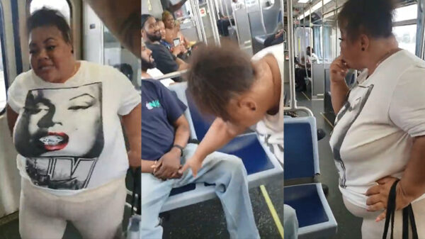 Vrouwelijke dorpsidioot is de leukste thuis en valt man in bus lastig