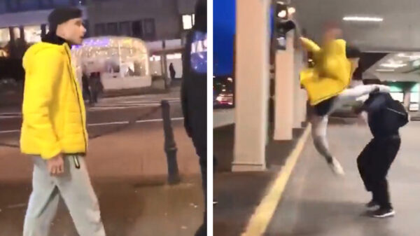 Karma: ruziezoeker klapt hard onderuit als hij een laffe high kick wil uitdelen