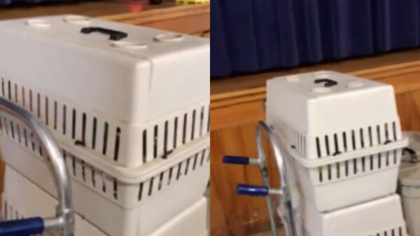 Man stopt huilende baby in dierentransportbox...of toch niet?