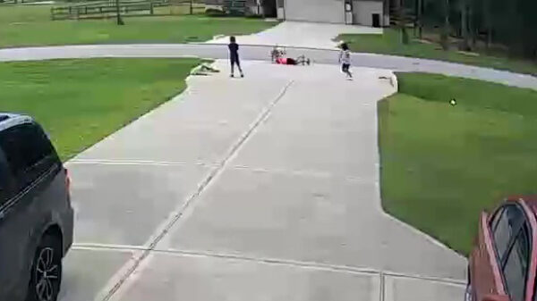 Held van de dag redt zijn 6-jarige buurjochie van een agressieve pitbull