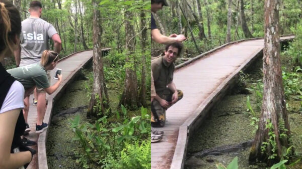 Deze telefoon kun je maar beter als verloren beschouwen