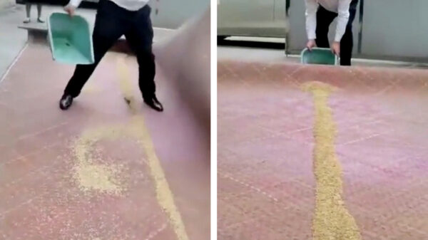 Lifehack: zo maak je in één beweging je vloer helemaal zandvrij