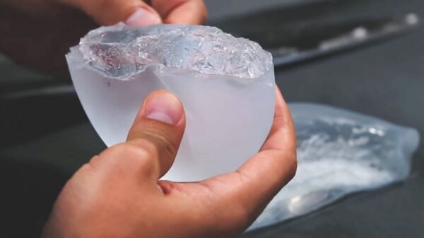 14 dingen waarvan je geen idee hebt hoe de binnenkant eruitziet