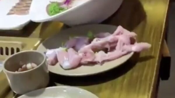 Verse kip heeft er geen zin meer in en loopt uit protest het restaurant uit