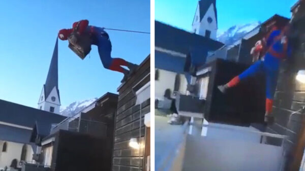 Accordeonspelende Spider-Man is niet voor één gat te vangen