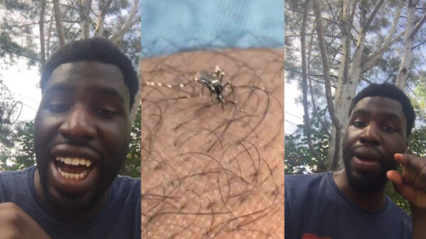 Ik heb niet alleen een heel slecht kapsel....