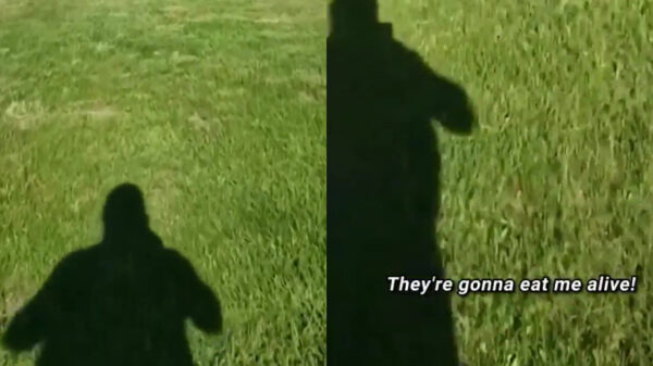 Oh mijn god ze komen eraan...