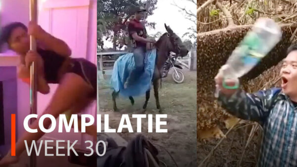 Alle fails van week 30 op een rij