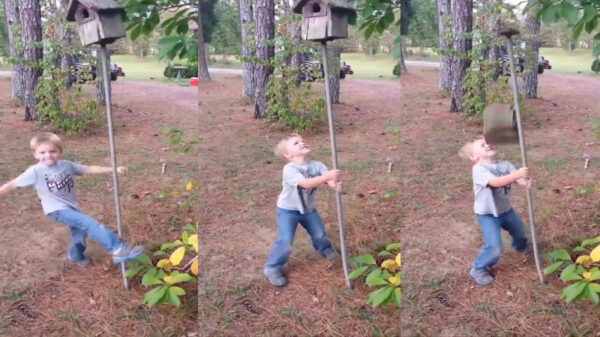 Klein pestventje leert ook het fenomeen karma kennen