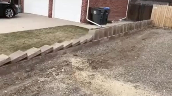 Welkom bij de cursus "stenen leggen voor absolute professionals"