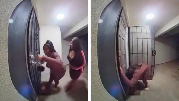 Soms ben je gewoon nét te laat met het openen van de voordeur