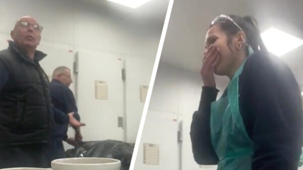 Simpel doch effectief: je collega in het mortuarium pranken