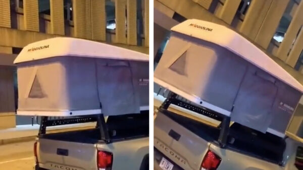 Stelletje wordt tijdens Mardi Gras in Louisiana betrapt tijdens de horizontale mambo