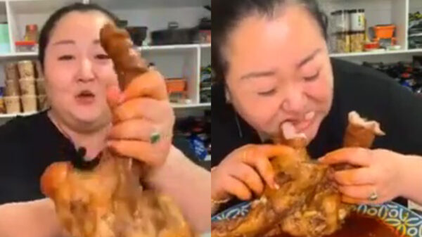 Een ezelpiemel, voor als je echt honger hebt