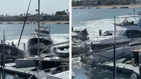Idioot steelt jacht van 18 meter en ramt daarna alles dat los en vast zit