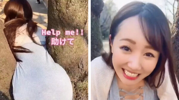 Help me stiefbroer, ik zit vast in deze boom