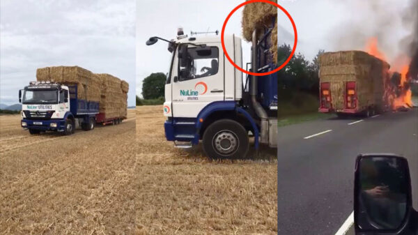 Beunhaas laadt zijn vrachtwagen extra vol zodat 'ie niet twee keer hoeft te rijden