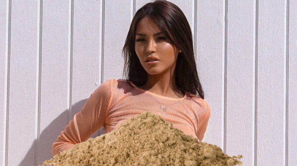 Het Braziliaanse model Claudia Alende toont haar troeven tijdens een photoshoot in South Beach