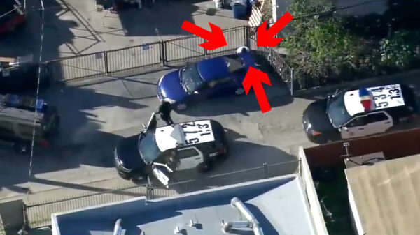 Wel eens een achtervolging gezien van compleet incompetente agenten?