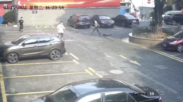 Wannabe Harry Potter dacht nog even snel de trein naar Hogwarts te pakken