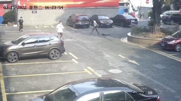 Wannabe Harry Potter dacht nog even snel de trein naar Hogwarts te pakken