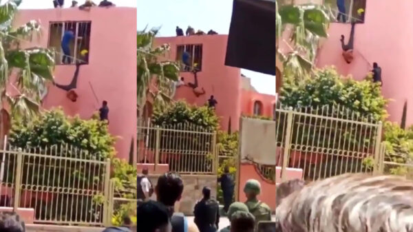 Dief wordt in Mexico als levende piñata gebruikt