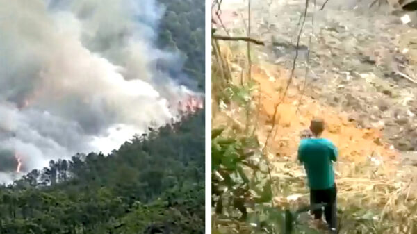 In China is een Boeing 737 met 132 inzittenden neergestort, reddingswerkers zijn onderweg