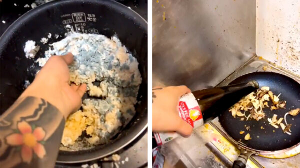 Waarom zou je je oude eten weggooien als je er ook prima mee kunt koken?