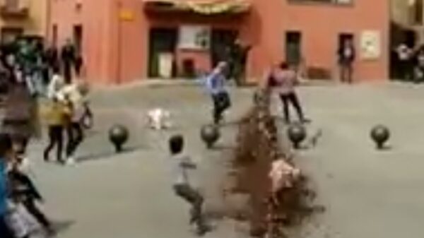 Het neerhalen van deze boom loopt maar net goed af!