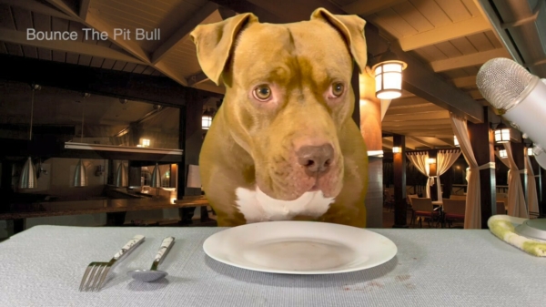 Lekker smikkelen en smullen in het restaurant met 'Bounce The Pit Bull'