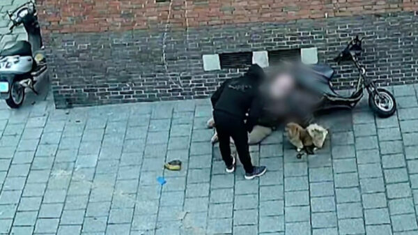Opsporing verzocht: beelden van mishandeling van 79-jarige man in Den Haag laten je bloed koken