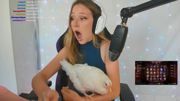 Kip laat Twitcher Diddly duidelijk merken dat 'ie schijt aan haar heeft