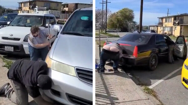 Smeerkezen op klaarlichte dag betrapt tijdens het jatten van een katalysator