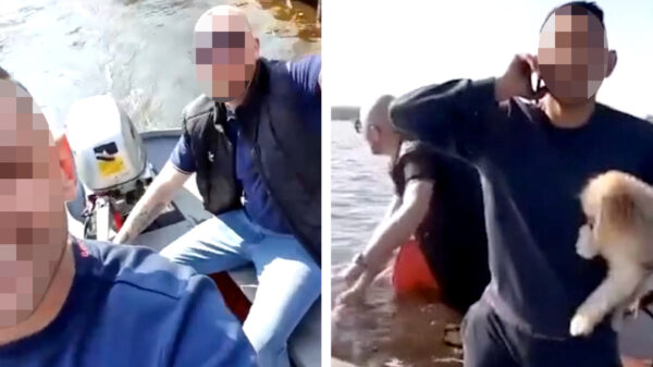 Iets te hard stampende Hagenezen zinken met hun bootje in Giethoorn