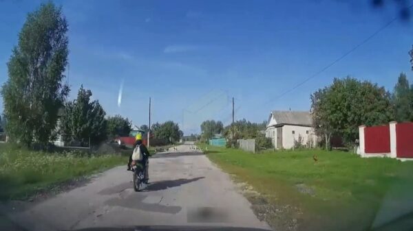 Stekeblinde brommerrijdster ziet overstekende ganzen over het hoofd