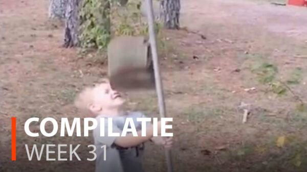 Alle fails van week 31 op een rij