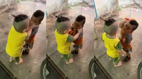 Bully in de dop krijgt een verdiend portie karma op zijn bakkes