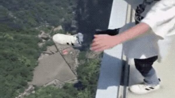 De verrassende gifdump die je niet wist dat zou komen